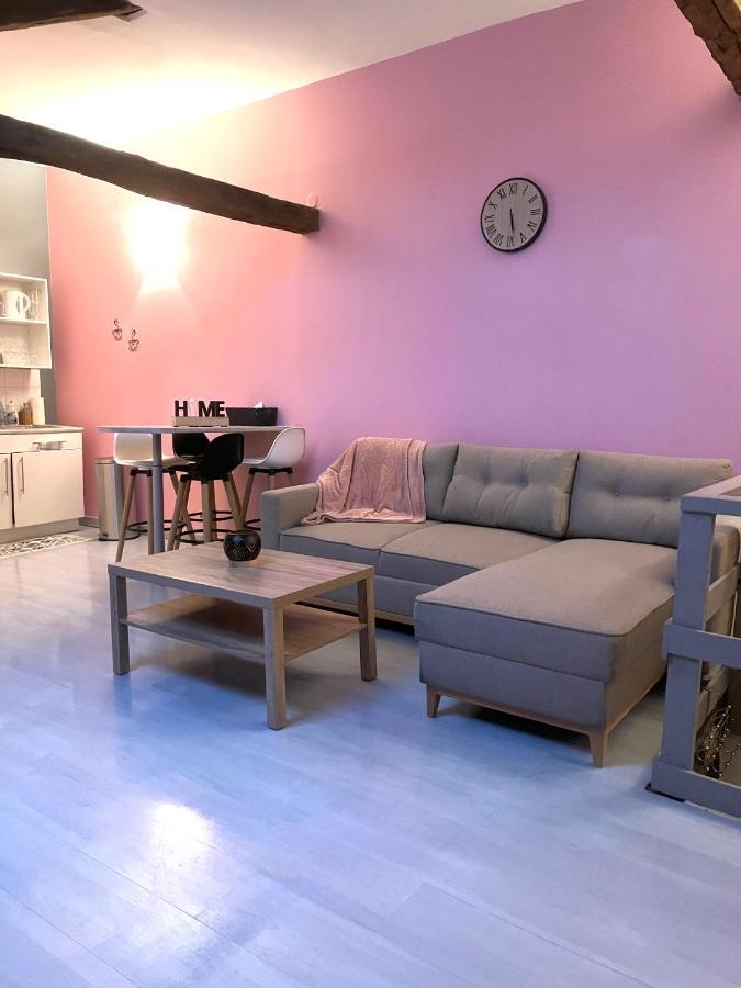 Chablis: Grand Studio En Plein Centre Ville Ngoại thất bức ảnh
